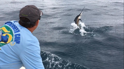 Sunny days, big catches in West Palm Beach